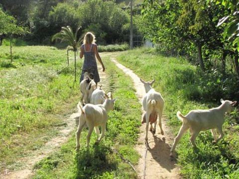 Quinta Boavista Villa Cercal do Alentejo Екстериор снимка